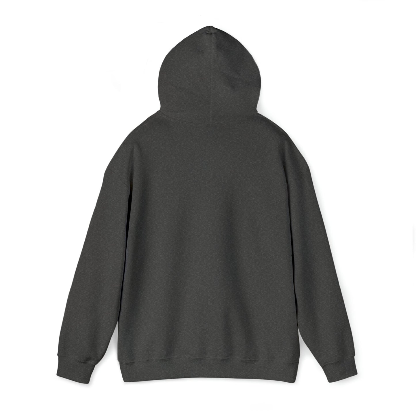 Spooky Season Smores Ghost Hoodie, Spooky Graphic Hoodie, Halloween Essential Hoodie, Unique Halloween Shirt, Haunted Hoodie, Cute Halloween
